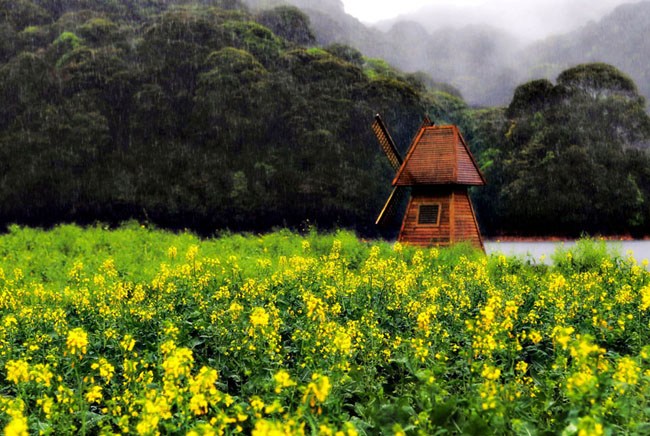 佛山中；峋傩写踊湃讼裆阌安煞缭硕