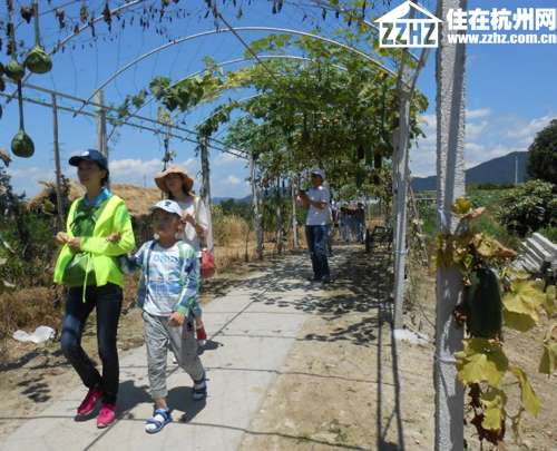 杭州B体育·西溪华府业主游乐桃园 感恩周年甜蜜一夏